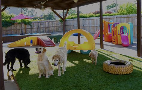 Doggy Daycare & Dog Boarding in Fayetteville AR .
